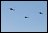 [Click to enlarge]